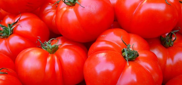 tomaten gesund