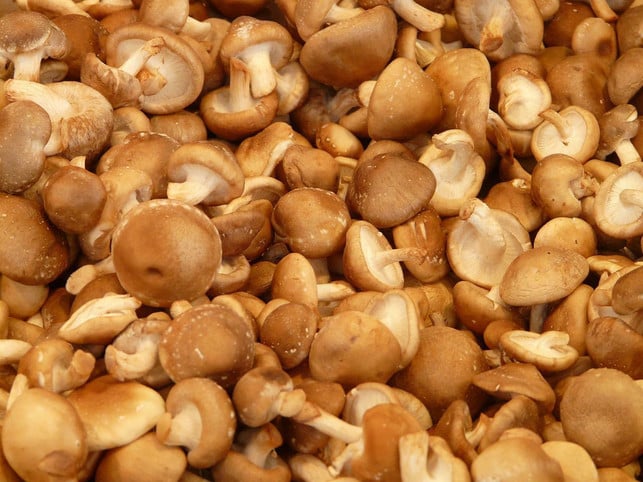 praeparate-aus-shiitake-extrakten-solltest-du-besse-cc0-pixabay-hans-220523_download Präparate aus Shiitake-Extrakten solltest du besser meiden, da es sich nicht um geprüfte Arzneimittel handelt.
