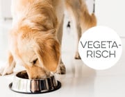 Vegetarische Ernährung für Hunde