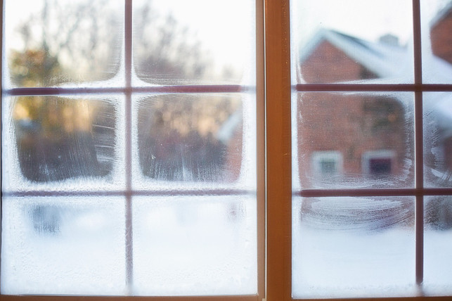 bei-schlechter-isolierung-kann-schimmel-in-der-woh-cc0-pixabay-jillwellington-221223_download Bei schlechter Isolierung kann Schimmel in der Wohnung einfach entstehen.