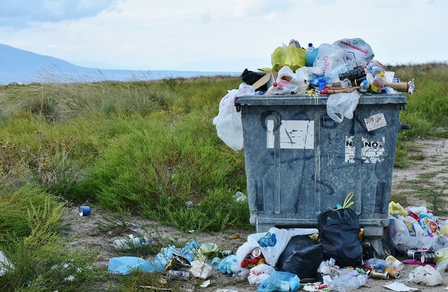 kunststoffabfaelle-wie-tetrapaks-verursachen-grosse-cc0-pixabay-ritae-200201_download Kunststoffabfälle wie Tetrapaks verursachen große Probleme, wenn sie in die Umwelt gelangen.