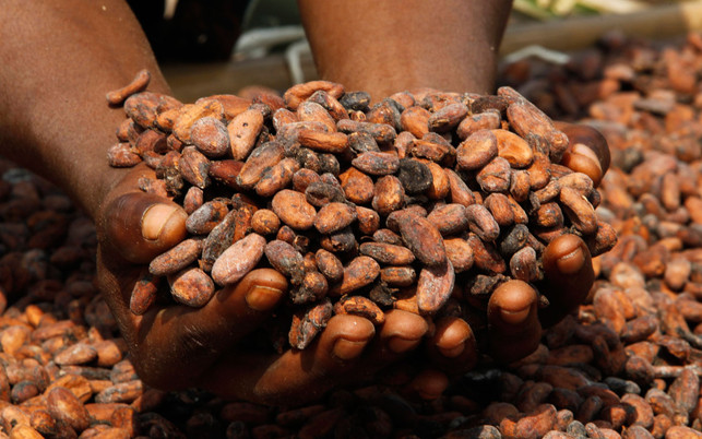 01_Kakao_c_Luc_Gnago_Fairtrade_web Sweet Revolution Faire Kakao