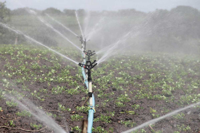 wasser-bewasserung-landwirtschaft-pb-feraugustodesign-220419-1200x800 Nicht nur der CO2-Fußabdruck ist wichtig, um Lebensmittel einzuschätzen – auch der Wasserfußabdruck zählt.