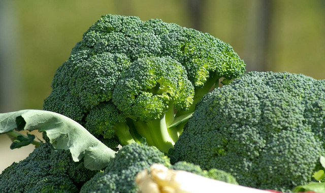 also-broccoli-contains-l-carnitine-cc0-pixabay-jackmac34-220811_download Broccoli also contains L-carnitine