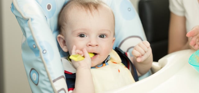 Getreidebrei für Babys bei Öko-Test
