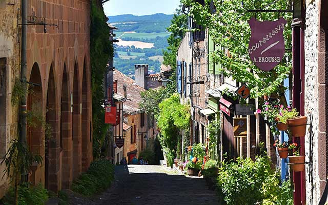 sam-bark-781999-unsplash guerilla gardening proteste urbane landwirtschaft