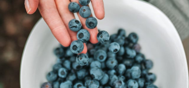 Blueberry Boom: Beyond