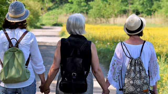 hitzewallungen-wechseljahre-cc0-public-domain-pixabay-silviarita-180814 hitzewallungen wechseljahre