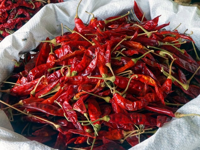 chilis-eignen-sich-besonders-gut-zum-trocknen-cc0-pixabay-joakant-190228_download Chilis eignen sich besonders gut zum Trocknen.