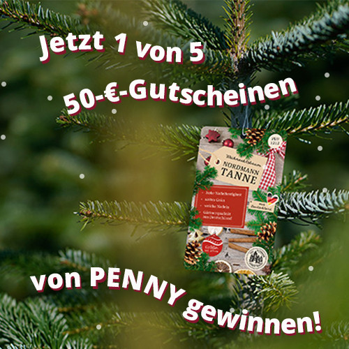 Nordmanntanne bei PENNY