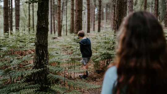 wald-schuetzen-us-cc0-annie-spratt-190924-1280x720 Wald schützen