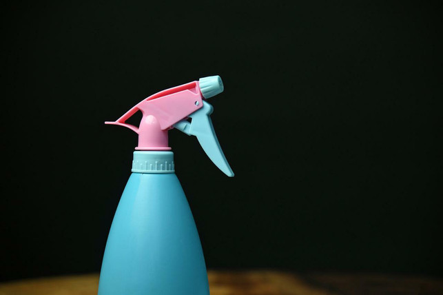 mit-einer-spruehflasche-wirst-du-wespen-los-ohne-i-cc0-pixabay-se-kimseng-220812_download Mit einer Sprühflasche wirst du Wespen los, ohne ihnen zu schaden.