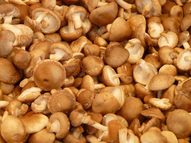 It is better to avoid preparations made from shiitake extracts, as they are not tested medicinal products. 