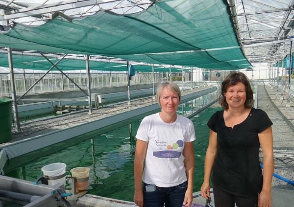 spirulina_hothouse_and_workers_in_normandie_2014_600 Spirolina-Algen: Anbau in der Normandie