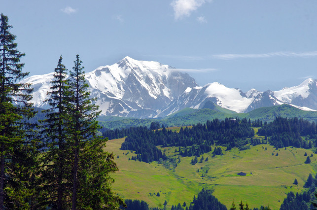 der-petit-train-de-la-mure-faehrt-durch-die-franz-cc0--pixabay--dezalb-250616_download Der "Petit Train de La Mure" fährt durch die französischen Alpen.