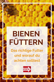 pin-it-foto-getty-images-inventori-200511_download Pin it!