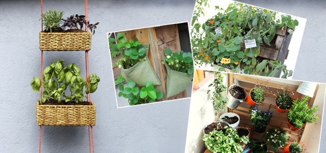 Urban Gardening: Ideen und Tipps zum Balkon-bepflanzen