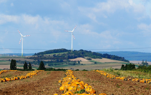 die-idee-einer-nachhaltigen-landwirtschaft-wird-zu-cc0-pixabay-flockine-181103 Die Idee einer nachhaltigen Landwirtschaft wird zum Beispiel durch sogenannte "Solawis" umgesetzt.