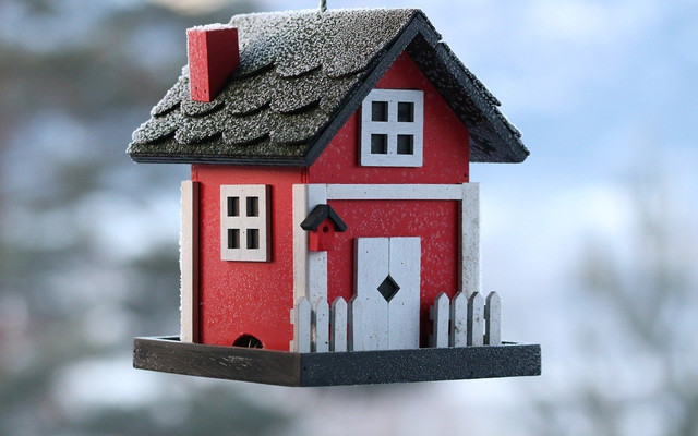 ueber-ein-vogelhaus-freuen-sich-nicht-nur-die-neuen-cc0-pixabay-hellado-191113_download Über ein Vogelhaus freuen sich nicht nur die neuen Hausbewohner, sondern auch die Vögel im Garten.
