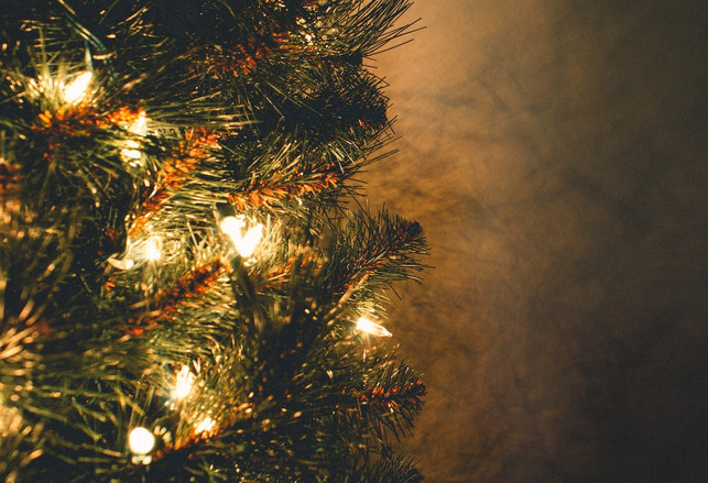 Beleuchtung am Weihnachtsbaum: Stromverbrauch und Spartipps Weihnachtsbeleuchtung am Weihnachtsbaum