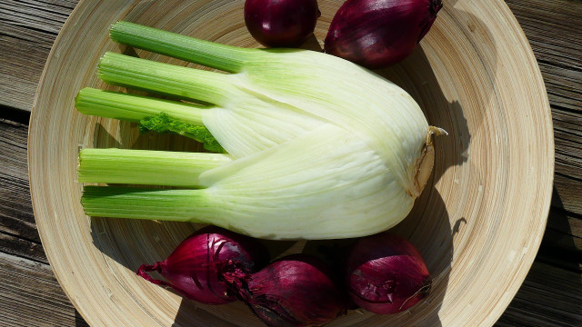 fenchelsalat-cc0-pixabay-violetta51-191202 fenchelsalat