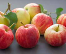 Apfel-Rezepte: Leckere Ideen zum Backen und Nachkochen