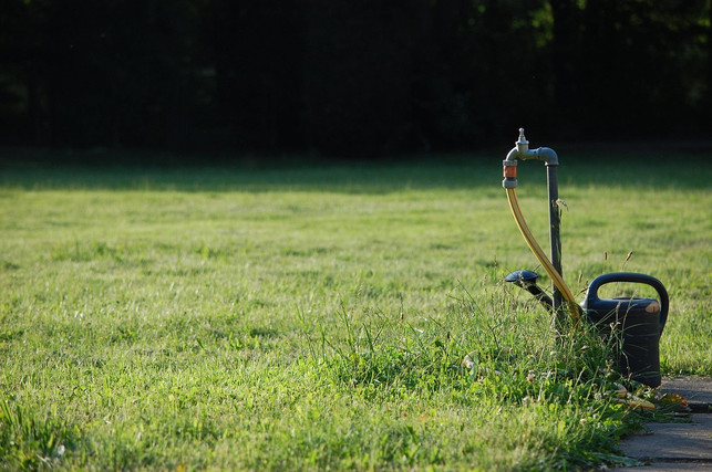 trockene-boeden-schaden-der-lorbeerrose-weshalb-du-cc0-pixabay-mathiaskatz-201217_download Trockene Böden schaden der Lorbeerrose, weshalb du sie regelmäßig gießen solltest.