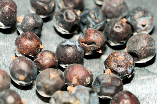 die-getrockneten-beeren-sind-ein-tolles-gewuerz-cc0-pixabay-iituliitu-190531_download Die getrockneten Beeren sind ein tolles Gewürz