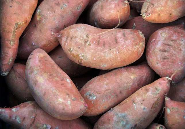 suesskartoffeln-haben-leider-keine-gute-oekobilanz-s-cc0-pixabay-ivabalk-200513_download Süßkartoffeln haben leider keine gute Ökobilanz. Sie lassen sich jedoch leicht durch Kürbis oder Kartoffeln ersetzen.