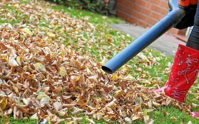 garten-laubsauger-w-Kathrin39-170405-1280x800 Garten-Fehler: Laubsauger & Laubbläser