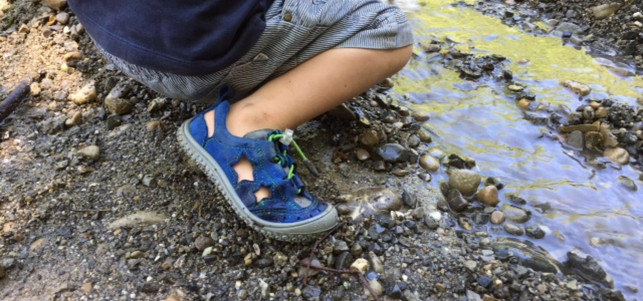 barfussschuhe-kinder-filii-z-filii-170317-1280x600 Filii Barefoot sind Barfußschuhe für Kinder