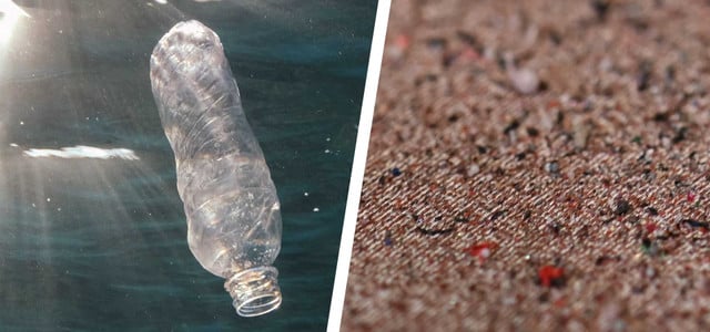 New insights: How harmful is microplastics for people and the environment?