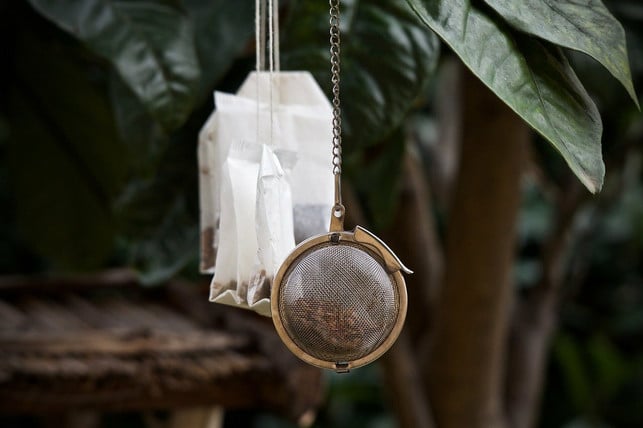 bestimmte-sorten-kannst-du-zweimal-als-teeaufguss-cc0-pixabay-sweetlouise-220225_download Bestimmte Sorten kannst du zweimal als Teeaufguss verwenden.