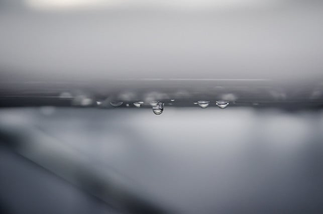 feuchtigkeit-ist-eine-wesentliche-voraussetzung-fue-cc0-pixabay-jarmoluk-240123_download Feuchtigkeit ist eine wesentliche Voraussetzung für die Schimmelbildung.