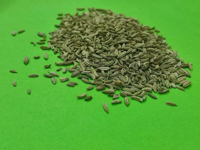 fencheltee-enthaelt-estragol-cc0-pixabay-taharbekkaye-241203_download Fencheltee enthält Estragol.