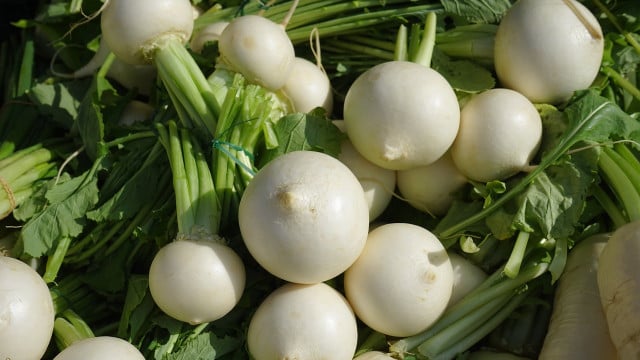 mairuebchensalat-cc0-pixabay-hans-200319 Mairübchensalat