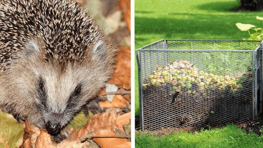 herbstlaub-sinnvoll-nutzen-cc0-pixabay-domenicblair-antranias-220110 Herbstlaub sinnvoll nutzen