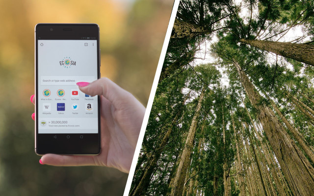 ecosia ecosia