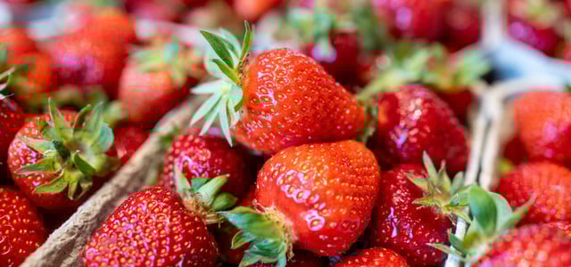 Erdbeeren