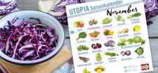 saisonkalender-utopia-november-cpb-200522-1280x720 Utopia Saisonkalender November