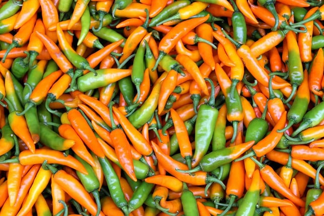 die-geschmackvollen-chilis-variieren-in-farbe-und-cc0-pixabay-basecamp_stock-190305_download Die geschmackvollen Chilis variieren in Farbe und Schärfe.