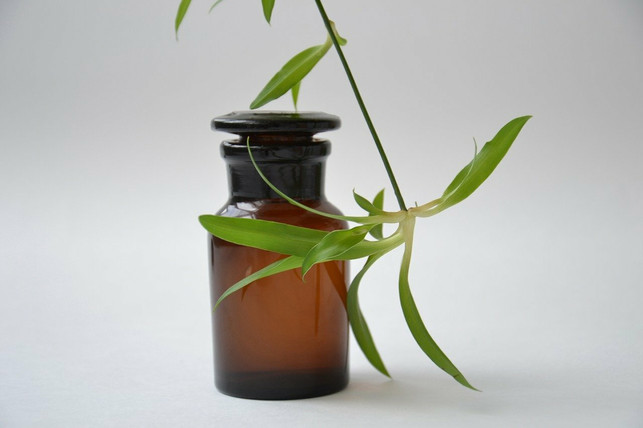 der-pflanzenwirkstoff-bakuchiol-eignet-sich-fuer-ve-cc0-pixabay-mareefe-210831_download Der Pflanzenwirkstoff Bakuchiol eignet sich für vegane Naturkosmetik.