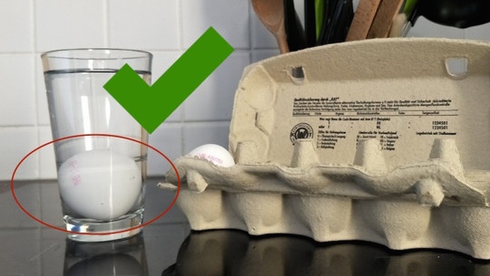 eier-test-utopia-sven-christian-schulz-170807 Eier-Test