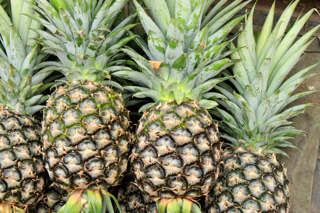 die-schale-von-ananas-solltest-du-zerkleinern-bev-cc0-pixabay-tinakorn-250316_download Die Schale von Ananas solltest du zerkleinern, bevor du sie in den Kompost gibst.