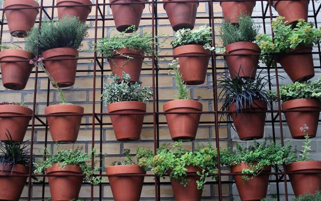 was-ist-urban-gardening-pb-Broesis-220422-1280x800 Was ist Urban Gardening?