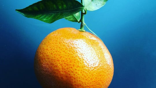 satsumas-cc0-unsplash-madalina-batlan-241022 satsumas