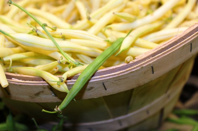 um-gruene-oder-gelbe-bohnen-zu-kochen-benoetigst-du-cc0-pixabay-genniebee512-230807_download Um grüne oder gelbe Bohnen zu kochen, benötigst du nur zehn bis 15 Minuten Zeit.