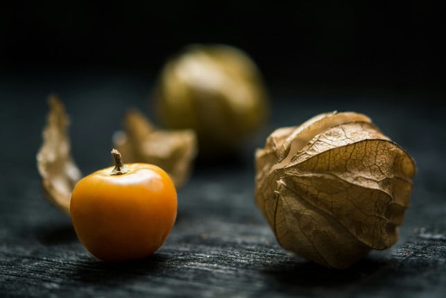 physalis-kannst-du-auch-selber-anbauen-unsplashcomjonathan-pielmayer-250805_download Physalis kannst du auch selber anbauen.