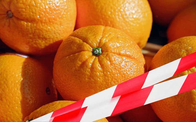 dreckiges-dutzend-obst-gemuese-orange-cw-kaesler-media-pb-Couleur-220421-1280x800 Orangen sind exotische Früchte – und leider auch häufig mit Pestiziden belastet.