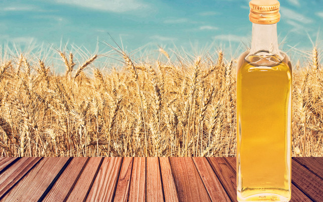 Vegetable oil on wooden table on wheat ears and blue sky backgro Ein Teelöffel Weizenkeimöl am Tag hat eine gesundheitsfördernde Wirkung.